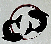 Asienreisender - Catfish as Ying-and-Yang